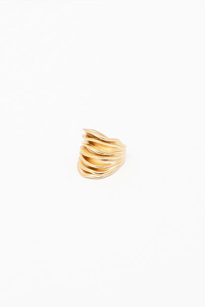 ANELLO COD:101