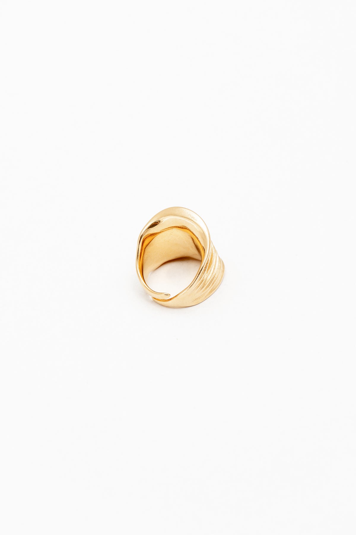 ANELLO COD:101