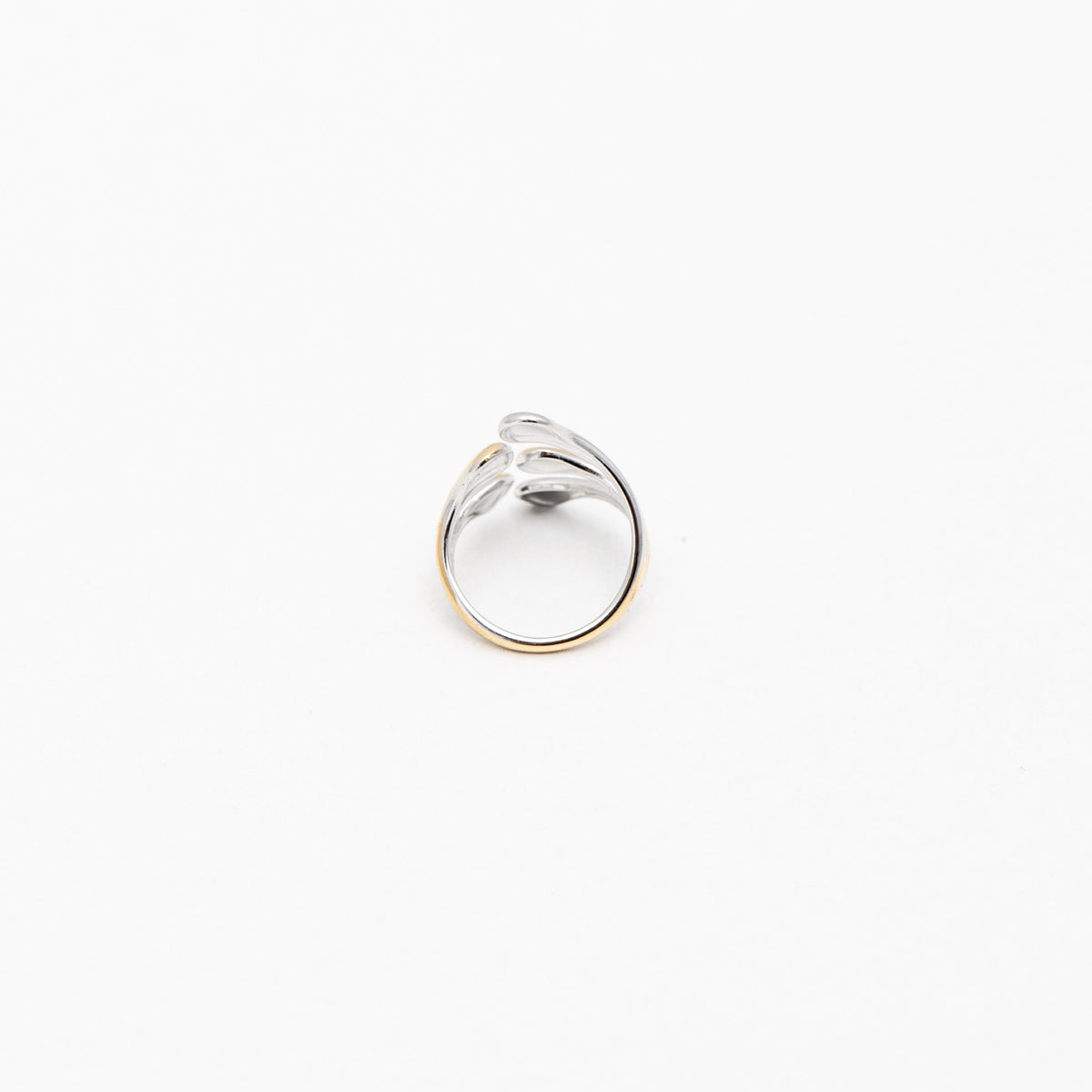 ANELLO COD:109