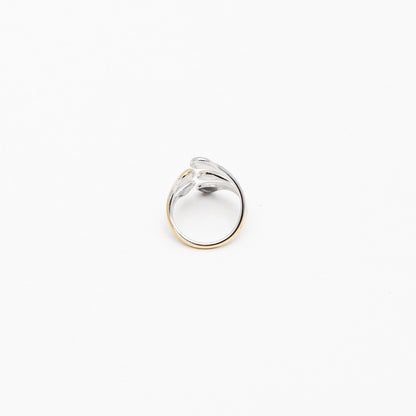 ANELLO COD:109