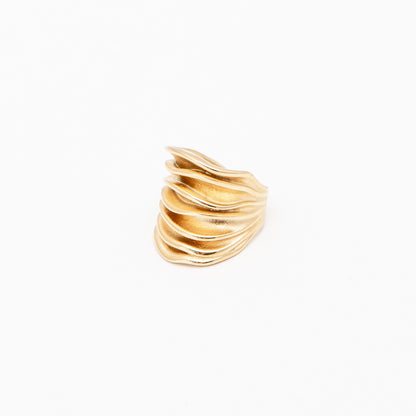 ANELLO COD:101