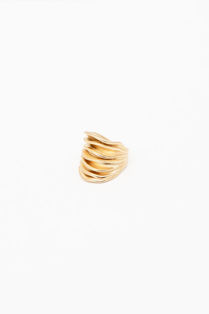 ANELLO COD:101
